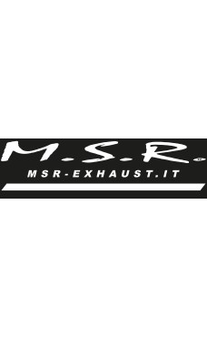 DE-KATZE SCHALLDÄMPFER KOMPLETTANLAGE MSR MOTORRAD BENELLI LEONCINO 250 2019/22